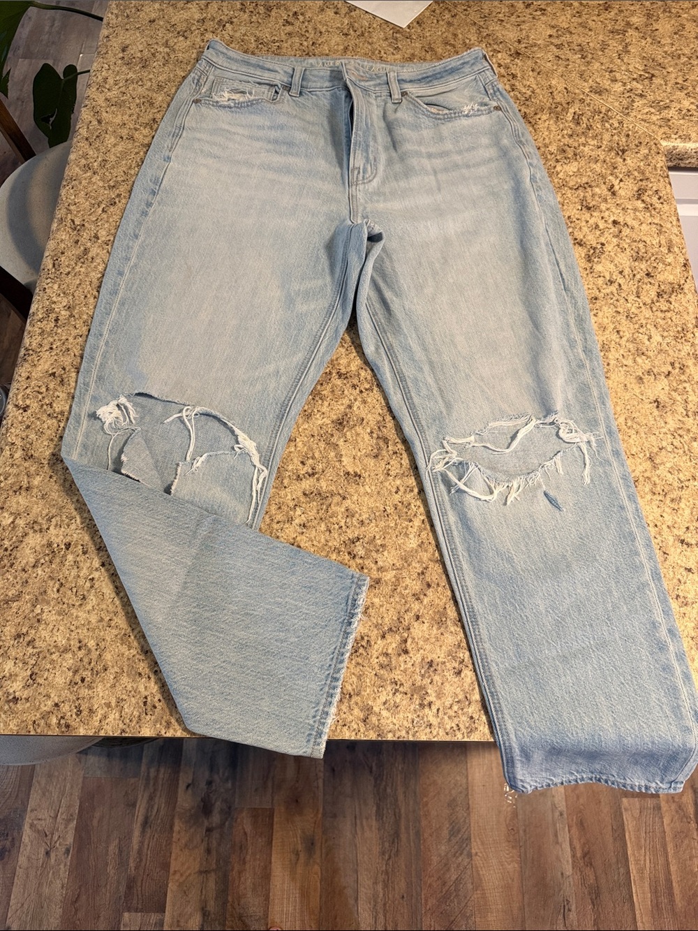 American Eagle Outfitters Light Wash Ripped Relaxed Jeans